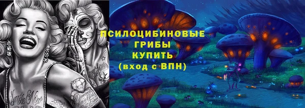 ГАЛЛЮЦИНОГЕННЫЕ ГРИБЫ Алзамай